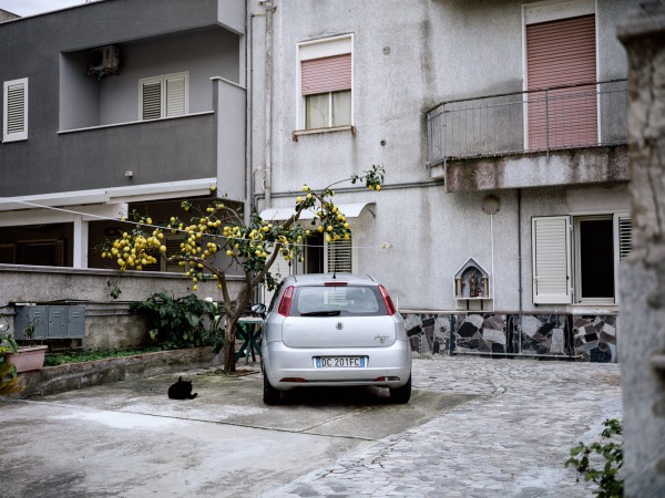 Fiat Punto III (2005-2018), Katze, Zitronenbaum und Hausaltar in Gibellina Nuova.