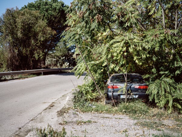 Alfa 166 in Alimena. Die Wuchshöhe der umringenden Essigbäume lässt auf eine Parkdauer von rund 10 Jahren schließen.