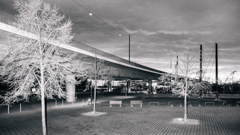 Rheinkniebrücke