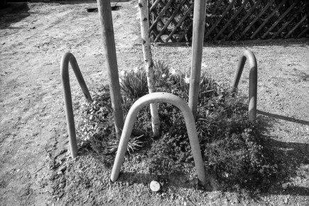 Anfang der Neunziger wurden die Siedlungsstraßen verbreitert und instandgesetzt. Die Vorgärten wurden beschnitten, um Parkraum zu schaffen. Passend zum Straßennamen wurden außerdem Birken zur Auflockerung des Straßenbilds angepflanzt.