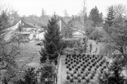 Blick auf die Siedlung Am Roten Haus von der Straße Am Roten Haus. Das ursprünglich einheitliche Gesamtbild der Siedlung wurde durch verschiedenartigste An- und Umbauten, Fenstergrößen und Hausfassadengestaltungen individualisiert.