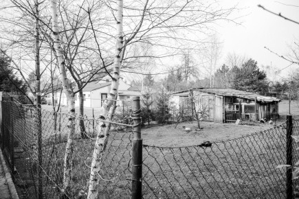 In den 70ern wurde zwischen der Straße Am Roten Haus und dem Föhrenweg ein kleiner Fußgängerweg angelegt. Er verkürzte nicht nur den Fußweg aus der Siedlung zur Bushaltestelle Am Roten Haus ganz erheblich, sondern eröffnete auch neue Perspektiven auf die angrenzenden Gärten. Hier werfe ich einen Blick über den Zaun auf den Hühnerstall im Garten des Grundstücks Schlehenweg 27. Der Zaun ist ein alter Bekannter aus den 70ern, nur allzuoft bremste er unsere Seifenkistenfahrten den steilen Böschungsweg von der Bushaltestelle herab. Kleinviehhaltung war in den Anfangsjahren der Siedlung weit verbreitet, die Siedler wurden in Lehrgängen mit den Grundlagen vertraut gemacht. Dieser Hühnerstall dürfte in den 90ern einer der letzten gewesen sein, heute ist er verschwunden und das alte Siedlungshaus durch einen Neubau ersetzt worden.